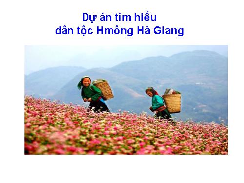 dia li dia phuong ( Dự án tìm hiểu dân tộc Hmông Hà Giang)