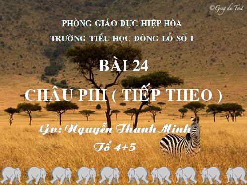 Bài 24. Châu Phi (tiếp theo)