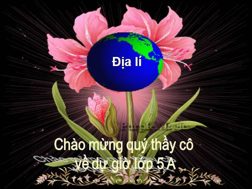 Bài 15. Thương mại và du lịch