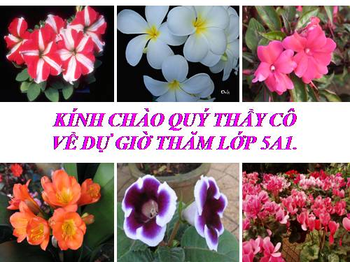 Bài 19. Các nước láng giềng của Việt Nam