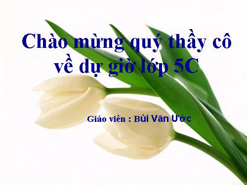 Bài 11. Lâm nghiệp và thuỷ sản