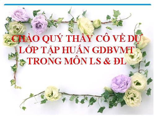 Tích hợp GDBVMT trong mon LS & DL