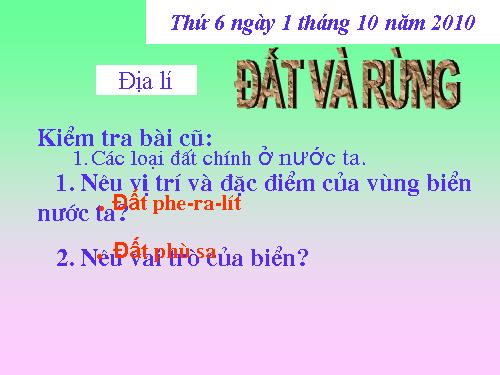 Bài 6. Đất và rừng