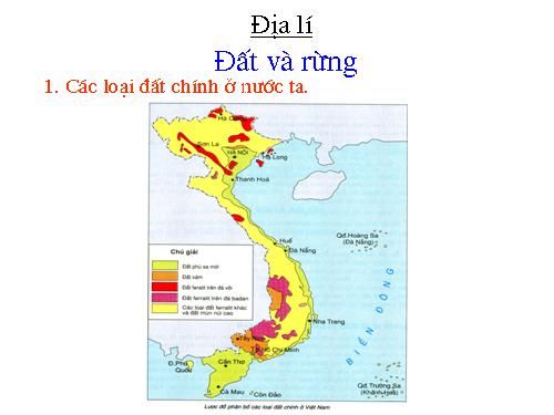 Bài 6. Đất và rừng