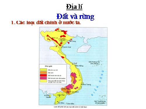 Bài 6. Đất và rừng