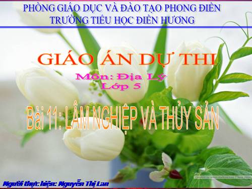 Bài 11. Lâm nghiệp và thuỷ sản