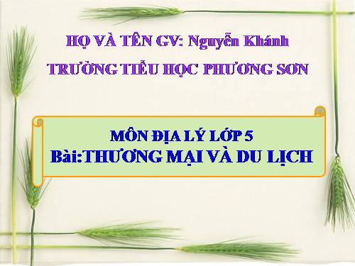 Bài 15. Thương mại và du lịch