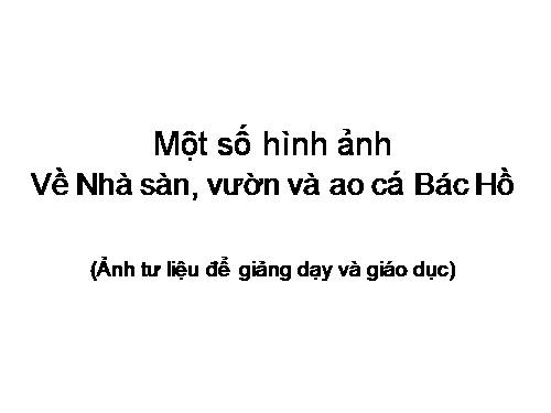 Tập ảnh: Nhà sàn, vườn cây, ao cá Bác Hồ