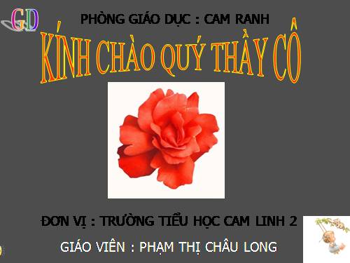 Bài 26. Châu Mĩ (tiếp theo)