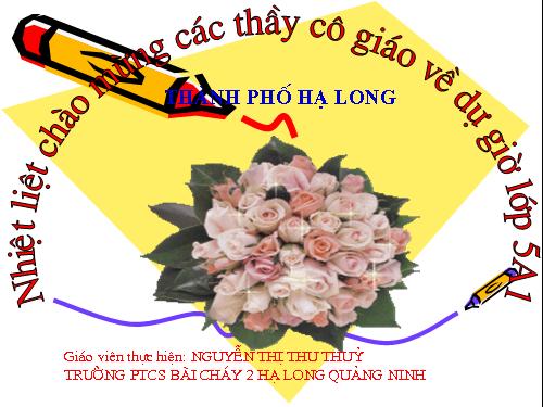 Bài 15. Thương mại và du lịch