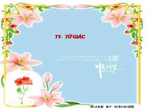 GIỚI THIỆU CHƯƠNG TRÌNH HÌNH HỌC 8