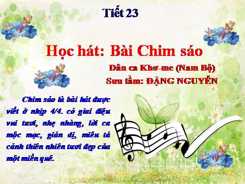 Tiết 23. HH: Chim sáo