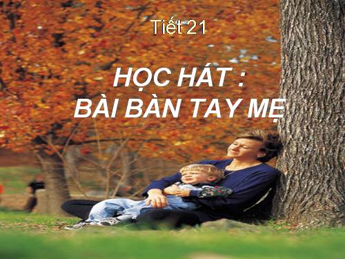 Tiết 21. HH: Bàn tay mẹ