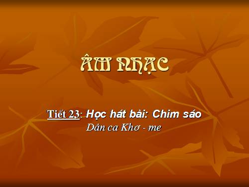 Tiết 23. HH: Chim sáo