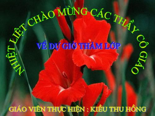 Tiết 28. HH: Thiếu nhi thế giới liên hoan