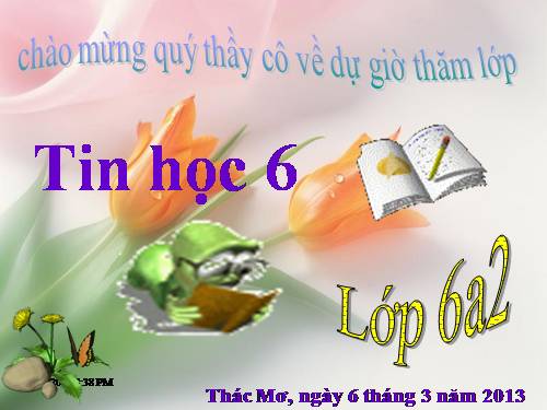 bai tap tin 6 học kì 2