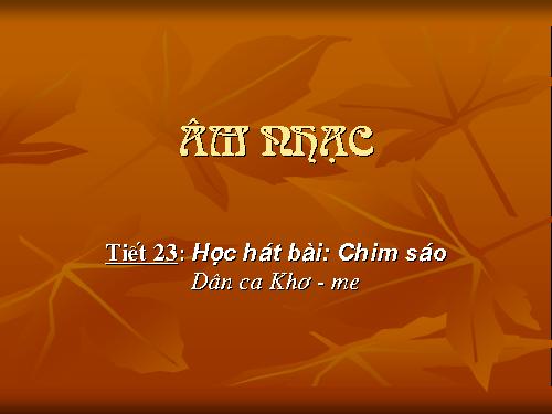 Tiết 23. HH: Chim sáo