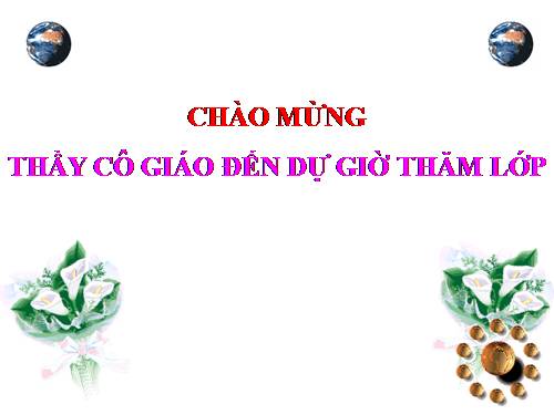 giáo án bài thực hành tổng hợp tiết 1