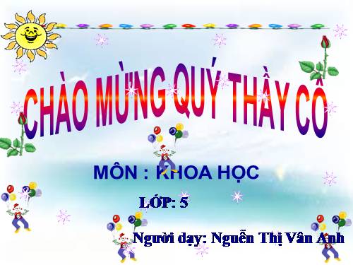 Bài 3. Đề tài Trường em