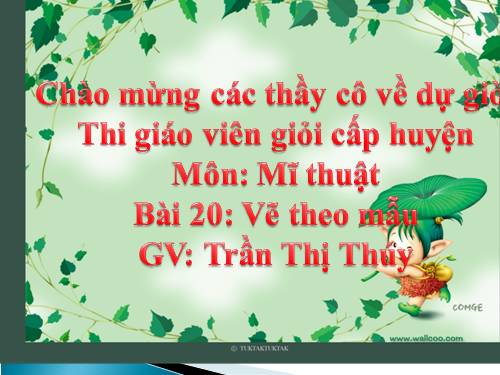 Bài 20. Mẫu vẽ có hai hoặc ba vật mẫu