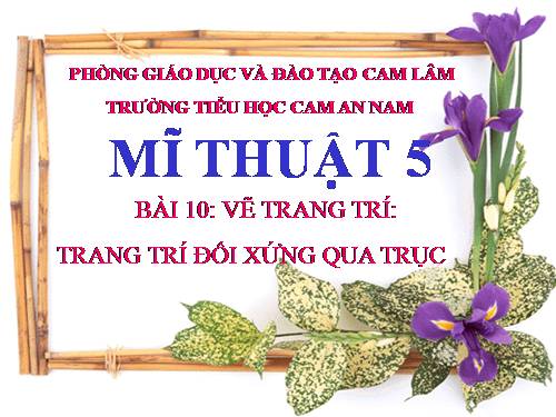 Bài 10. Trang trí đối xứng qua trục