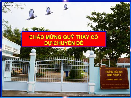 CHUYÊN ĐỀ TỔ CHUYÊN MÔN.12-13