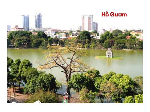 CẢNH ĐẸP VIỆT NAM