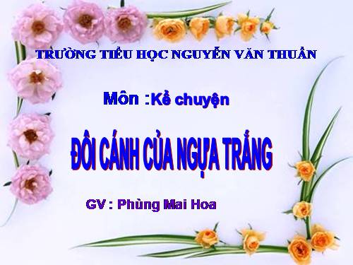 Tuần 29. Đôi cánh của Ngựa Trắng