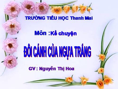 Tuần 29. Đôi cánh của Ngựa Trắng