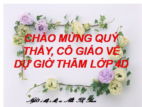 Tuần 29. Đôi cánh của Ngựa Trắng