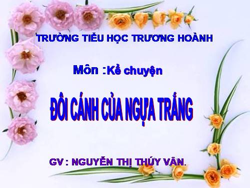 Tuần 29. Đôi cánh của Ngựa Trắng