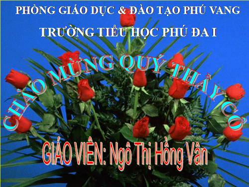 Tuần 11. Bàn chân kì diệu