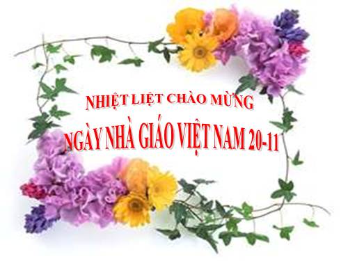 Tuần 11. Bàn chân kì diệu