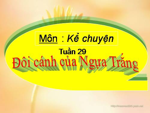 Tuần 29. Đôi cánh của Ngựa Trắng