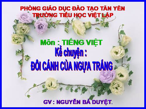 Tuần 29. Đôi cánh của Ngựa Trắng