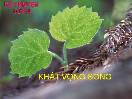 Tuần 32. Khát vọng sống