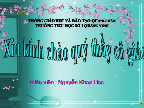 Tuần 11. Bàn chân kì diệu