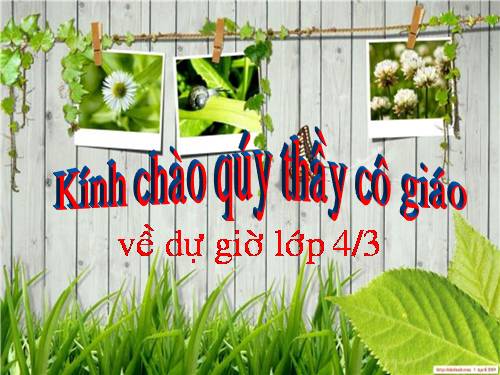 Tuần 11. Bàn chân kì diệu