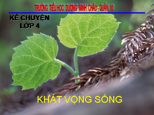 Tuần 32. Khát vọng sống