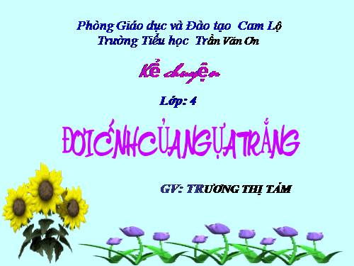 Tuần 29. Đôi cánh của Ngựa Trắng