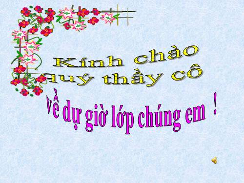 Tuần 11. Bàn chân kì diệu