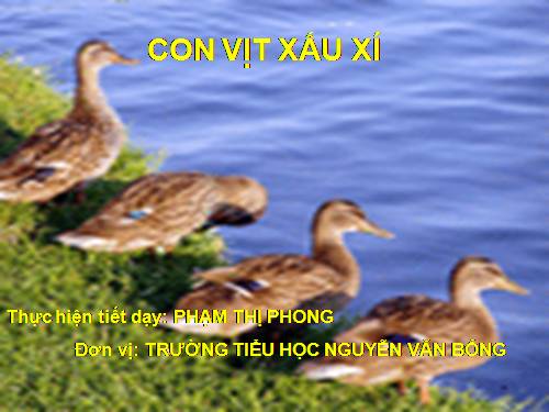Tuần 22. Con vịt xấu xí