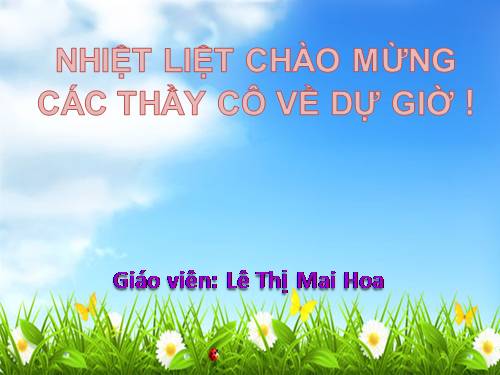 Tuần 29-30. MRVT: Du lịch - Thám hiểm