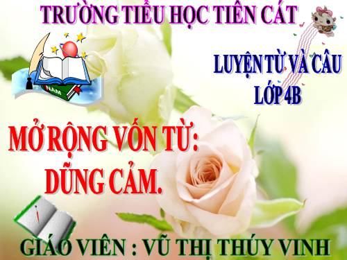 Tuần 25-26. MRVT: Dũng cảm