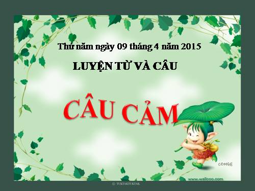 Tuần 30. Câu cảm