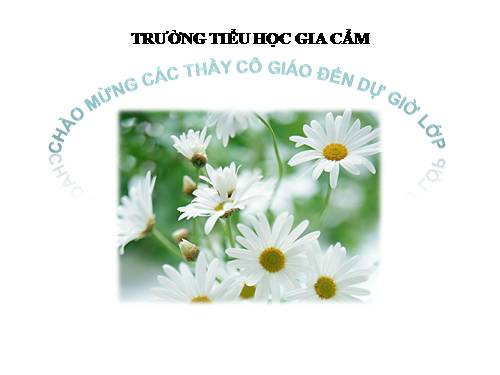 Tuần 9. Động từ