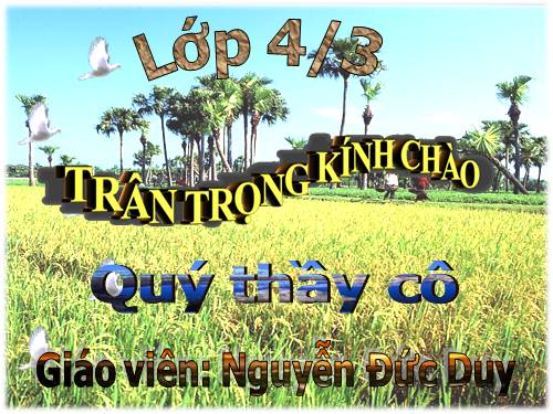 Tuần 20. Luyện tập về câu kể Ai làm gì?