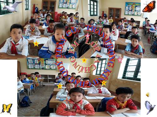 Tuần 11. Luyện tập về động từ