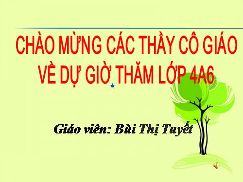 Tuần 11. Tính từ