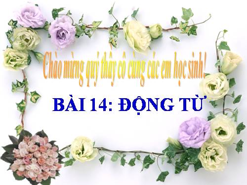 Tuần 9. Động từ